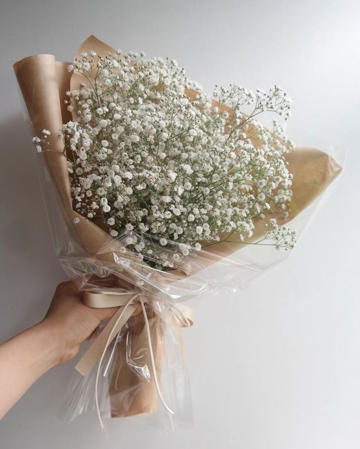 baby breath