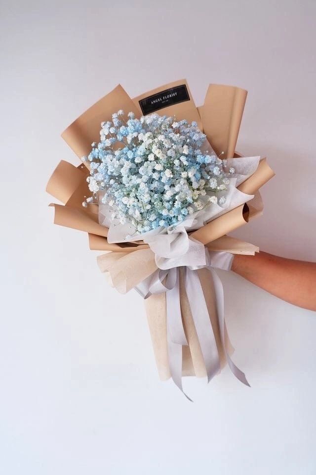 baby breath