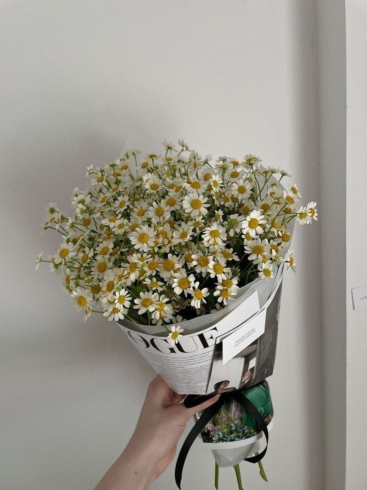 chamomile