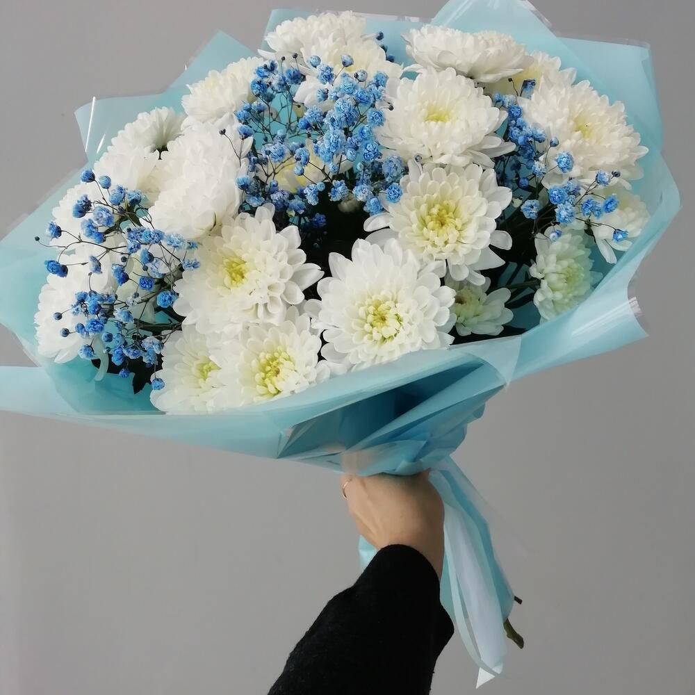 chrysanthemum