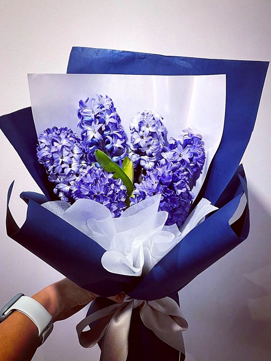 hyacinth