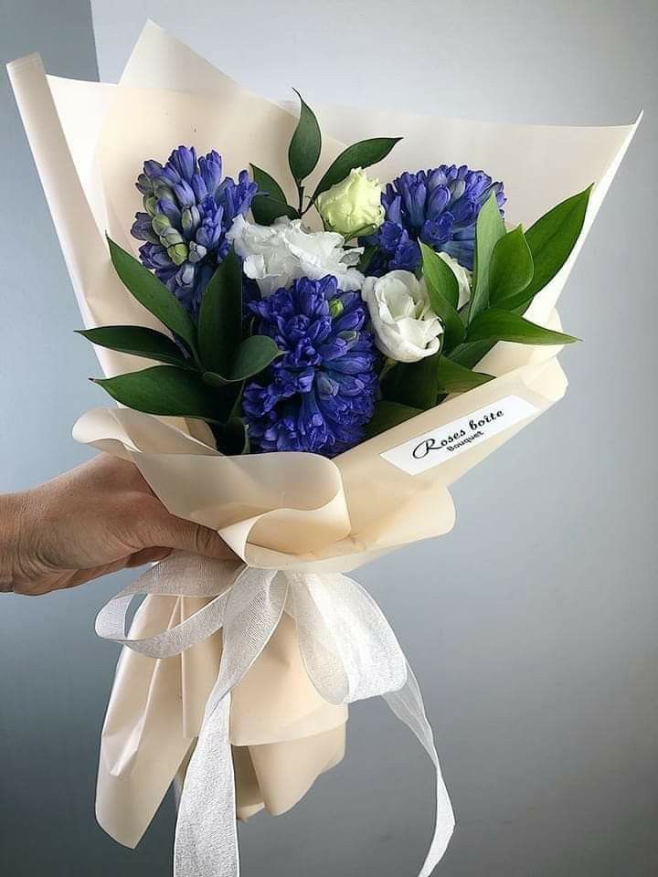 hyacinth