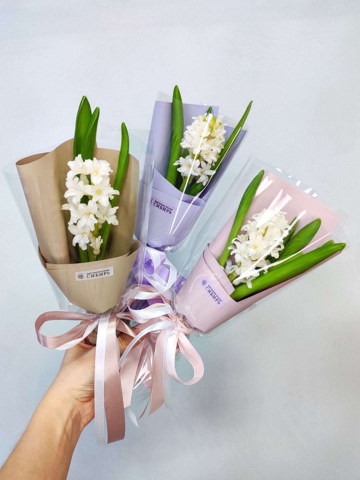 hyacinth