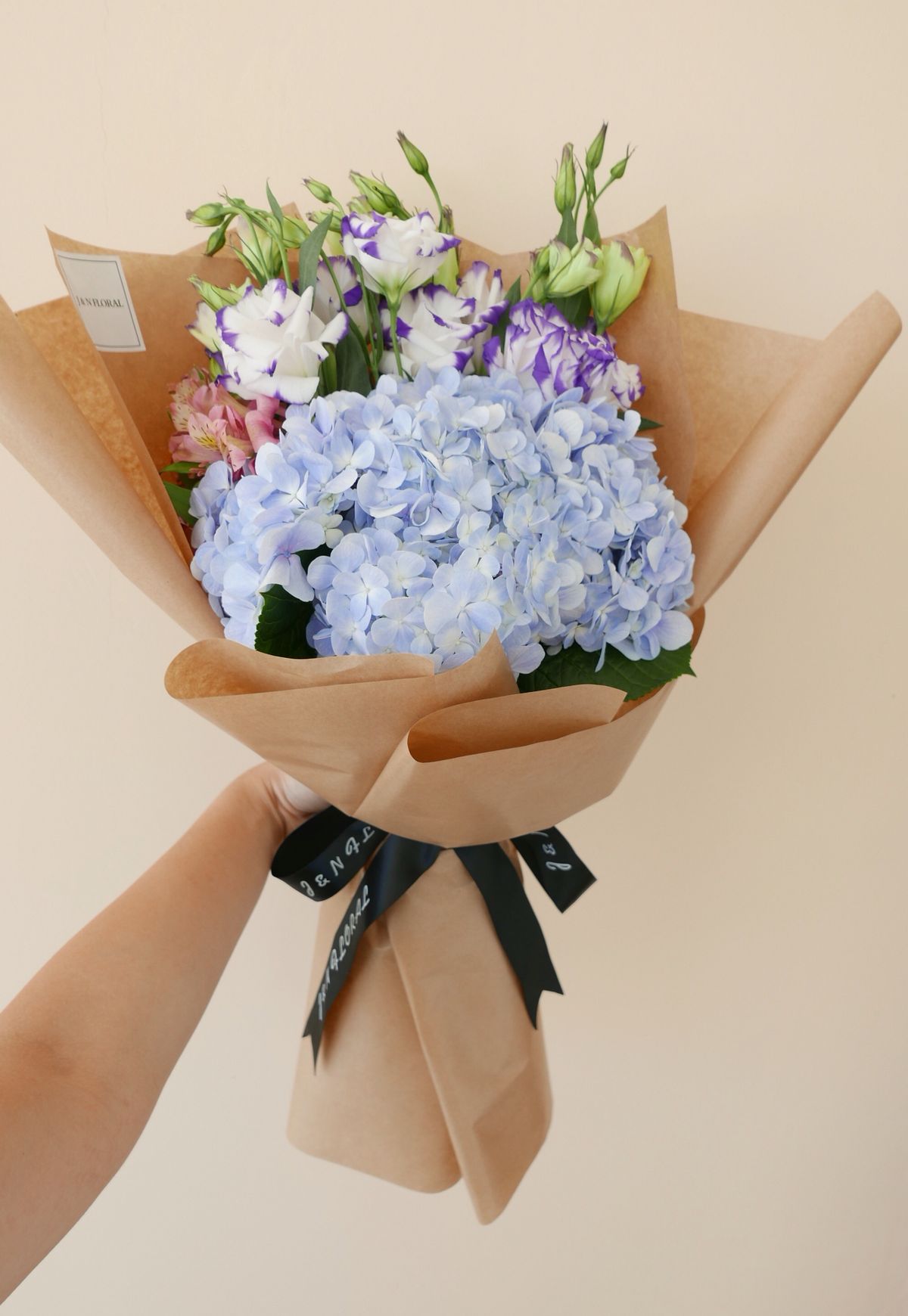 hydrangea