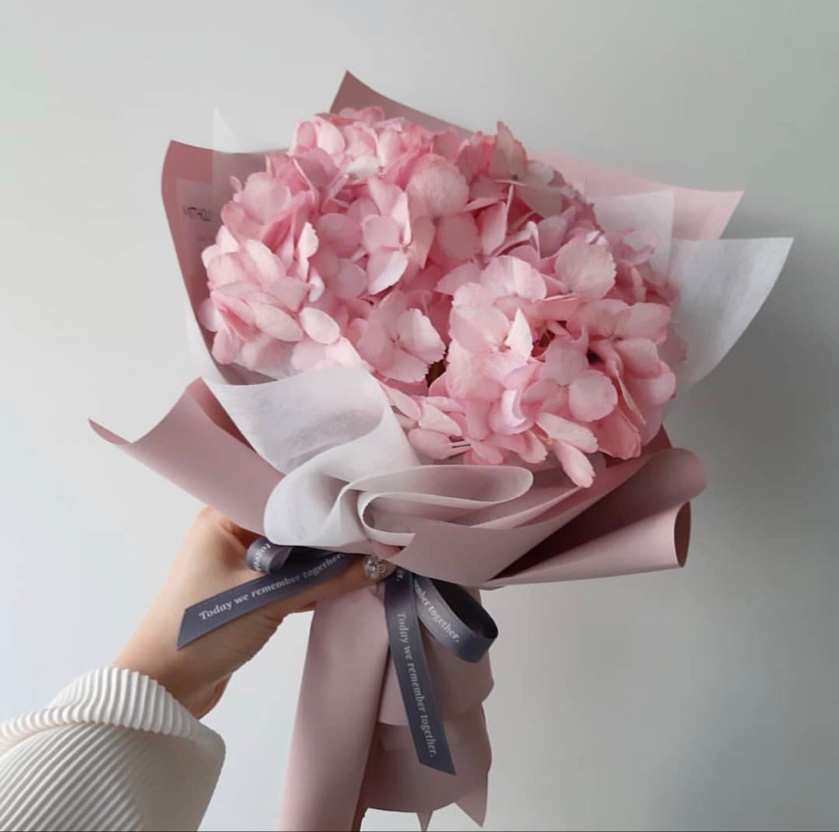 hydrangea